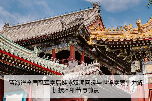 tan-hai-yang-quan-guo-guan-jun-sai-hou-wa-yong-shuang-xiang-hui-nuan-yu-shi-jin-sai-jing-zheng-li-jie-xi-ji-shu-xi-jie-2-342.jpg